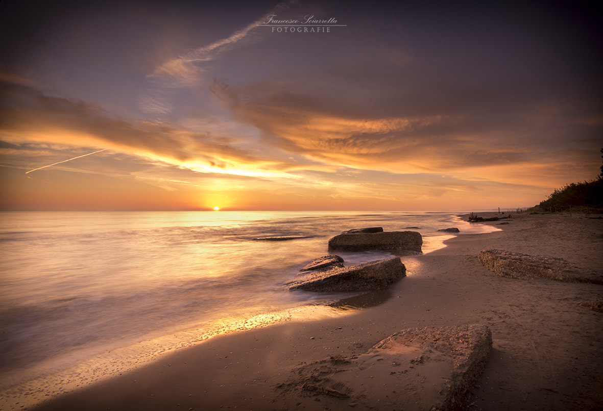Nikon AF-S Nikkor 16-35mm F4G ED VR sample photo. The golden hour photography