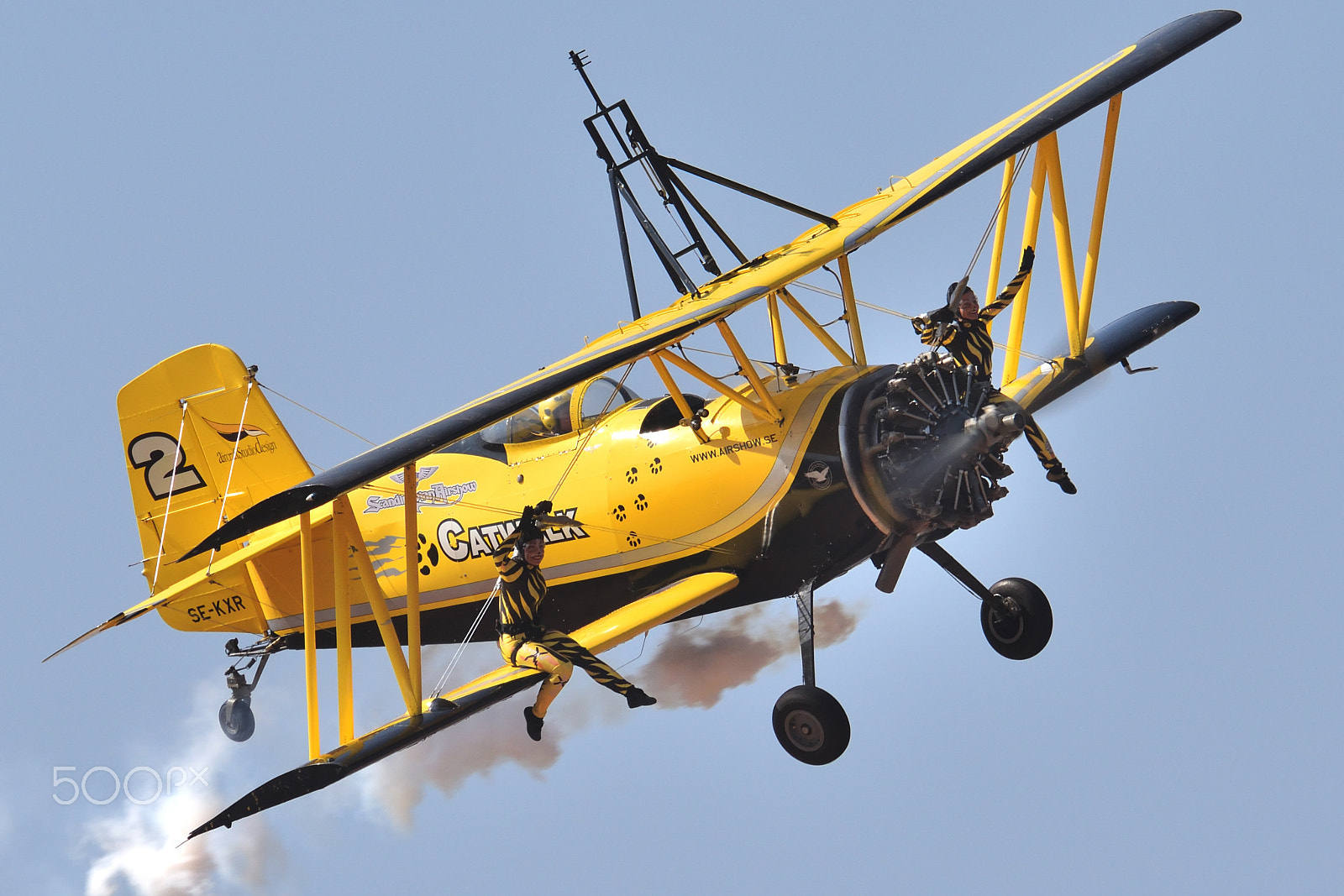 Nikon AF-S Nikkor 300mm F2.8G ED-IF VR sample photo. These are the best seats! photography