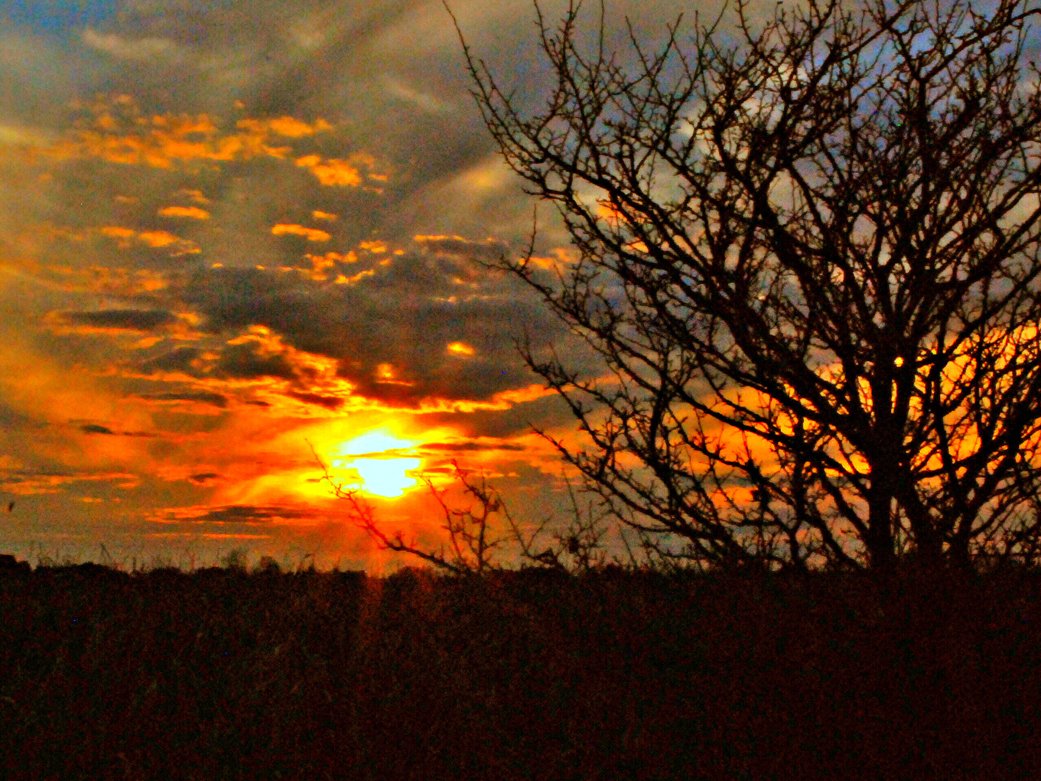 Nikon D80 sample photo. Summer night at dusk photography