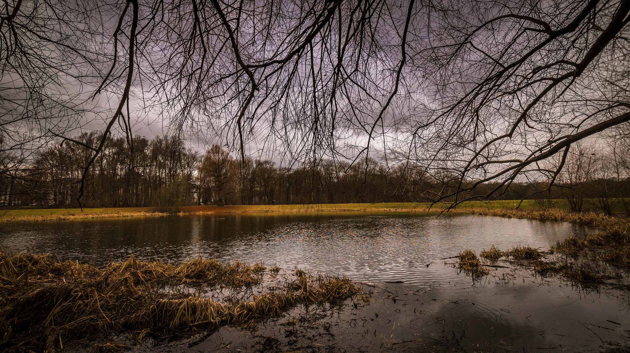 Sony SLT-A58 + Sigma 10-20mm F3.5 EX DC HSM sample photo. Winter colors photography