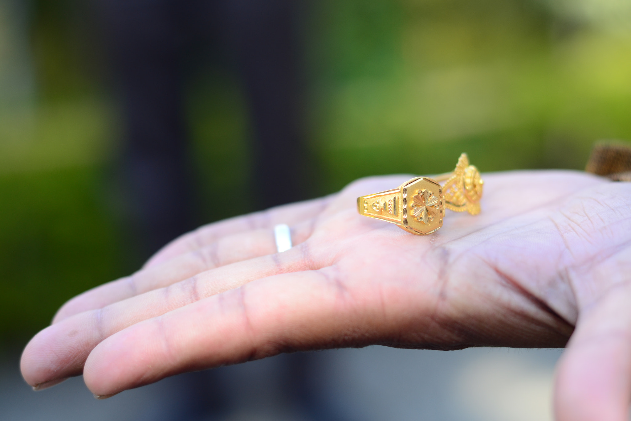 Nikon D3100 + Nikon AF Nikkor 50mm F1.8D sample photo. Lord of the rings photography