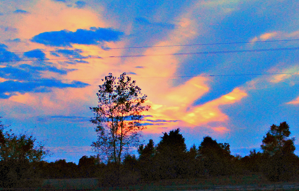 Nikon D80 sample photo. God's hand across the sky photography