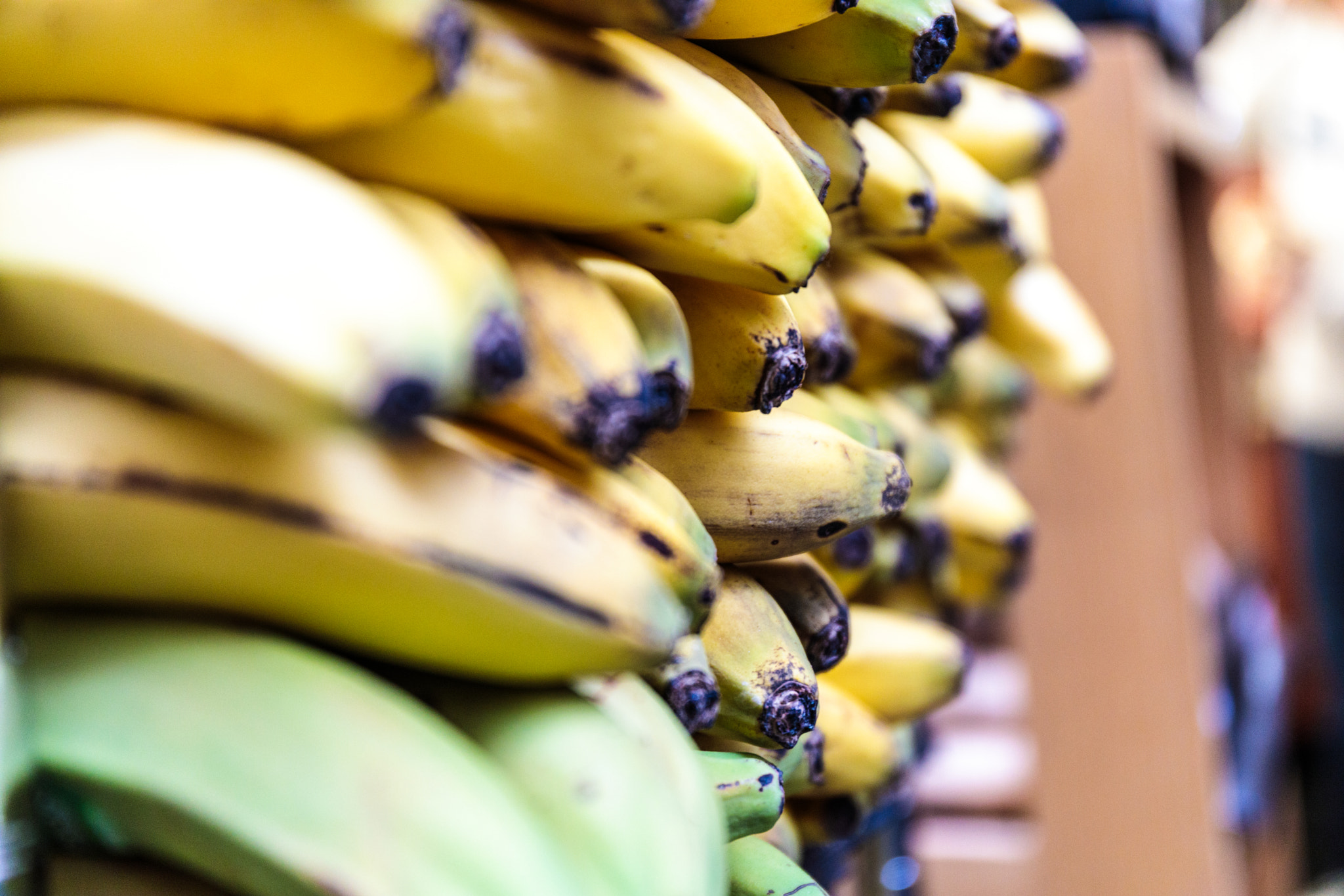 Canon EF 24-70mm F4L IS USM sample photo. Banana stack photography
