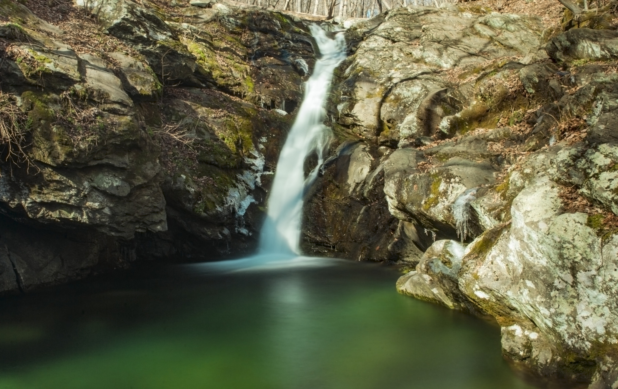 Nikon D80 sample photo. Pool of life!!! photography