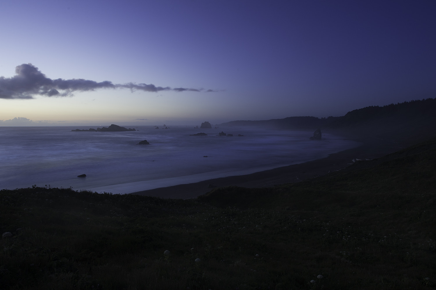 Nikon D3S sample photo. Quiet photography