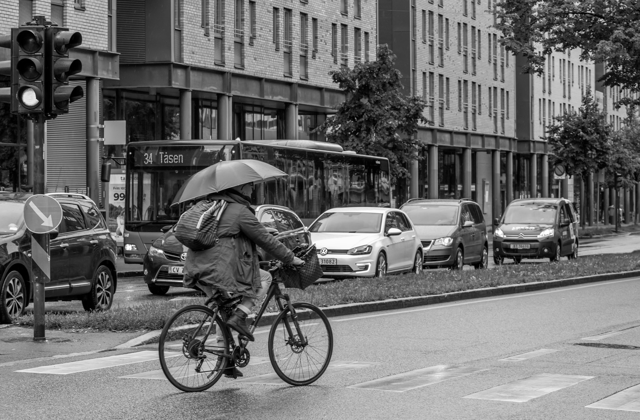 Canon EOS 1300D (EOS Rebel T6 / EOS Kiss X80) + Canon EF 70-200mm F4L USM sample photo. Rainy day  photography