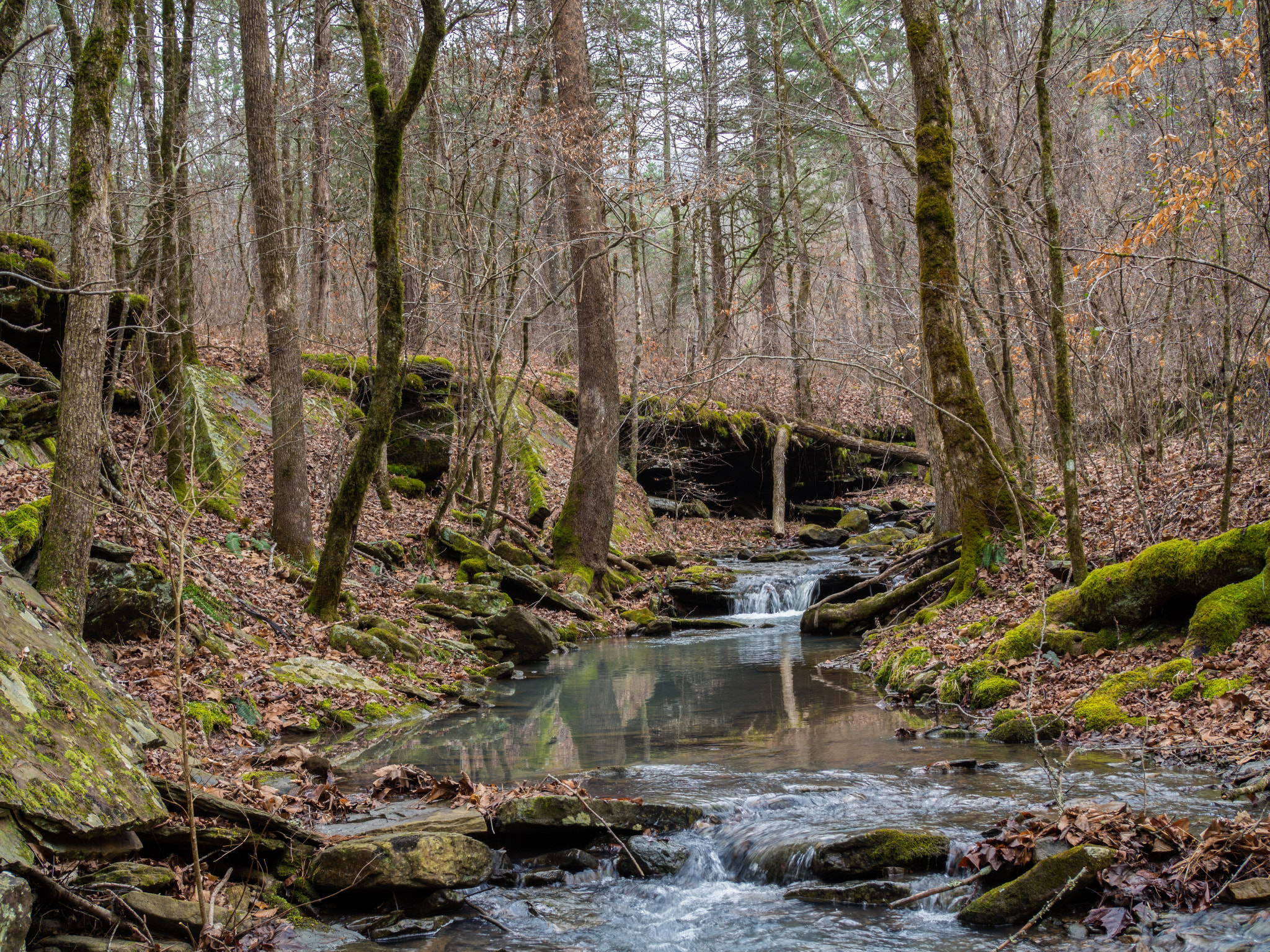 Olympus OM-D E-M10 + Olympus M.Zuiko Digital 25mm F1.8 sample photo. Ozark stream photography