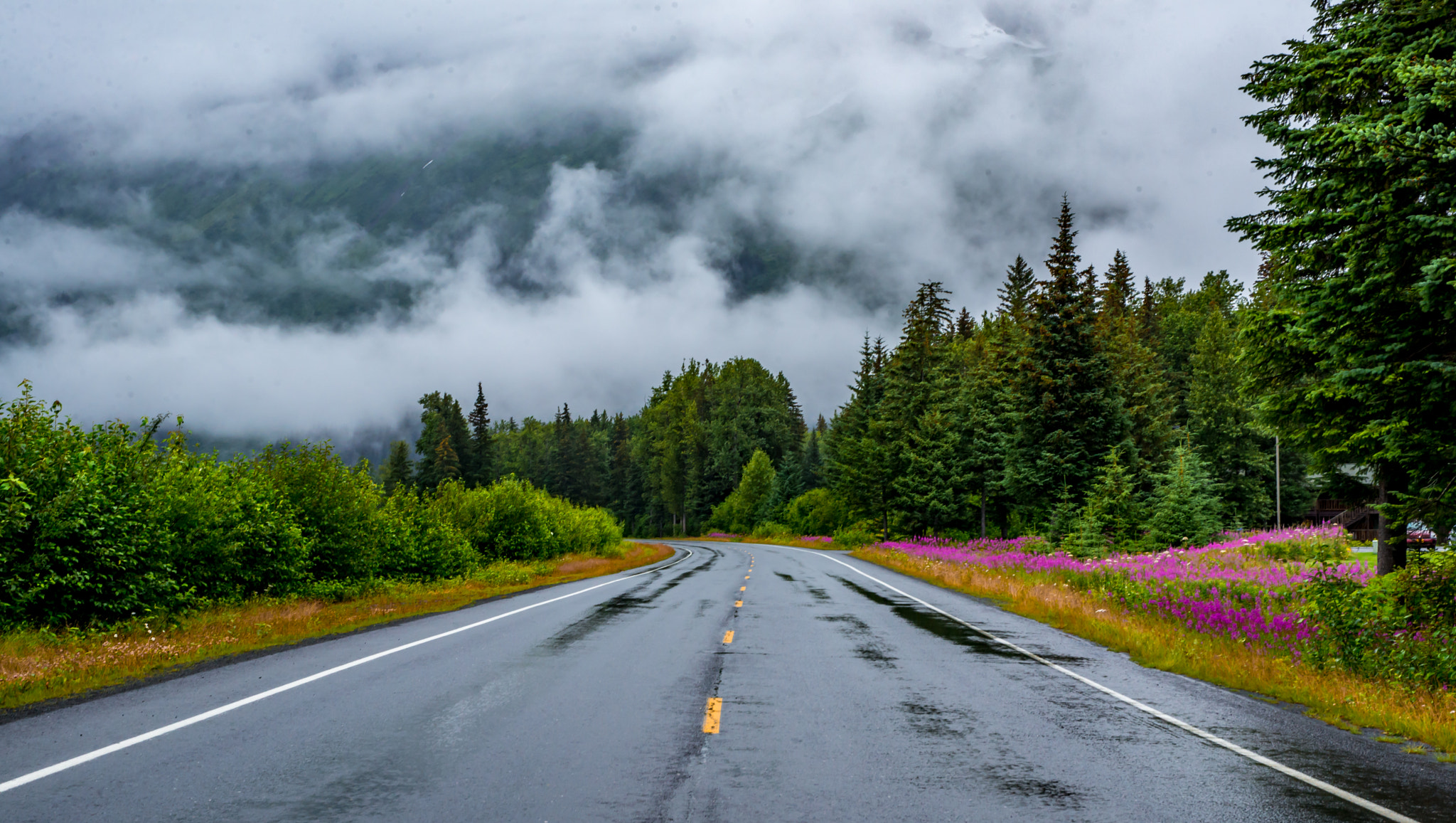 Nikon D600 sample photo. Alaska road photography
