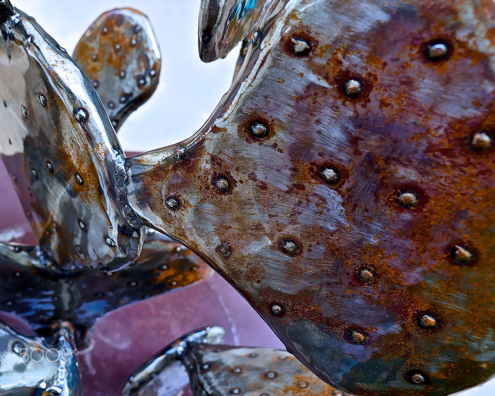 Panasonic Lumix G X Vario 12-35mm F2.8 ASPH Power OIS sample photo. Steel catus photography