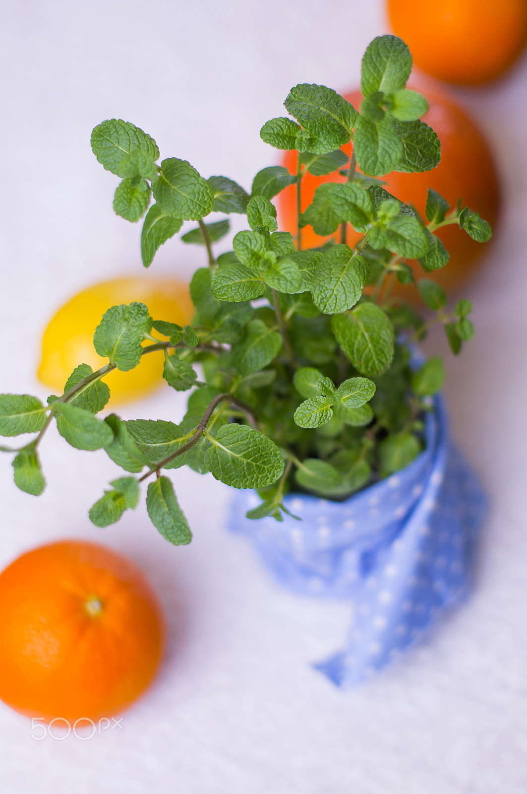 Sony SLT-A37 sample photo. Fresh mint in a plant pot photography