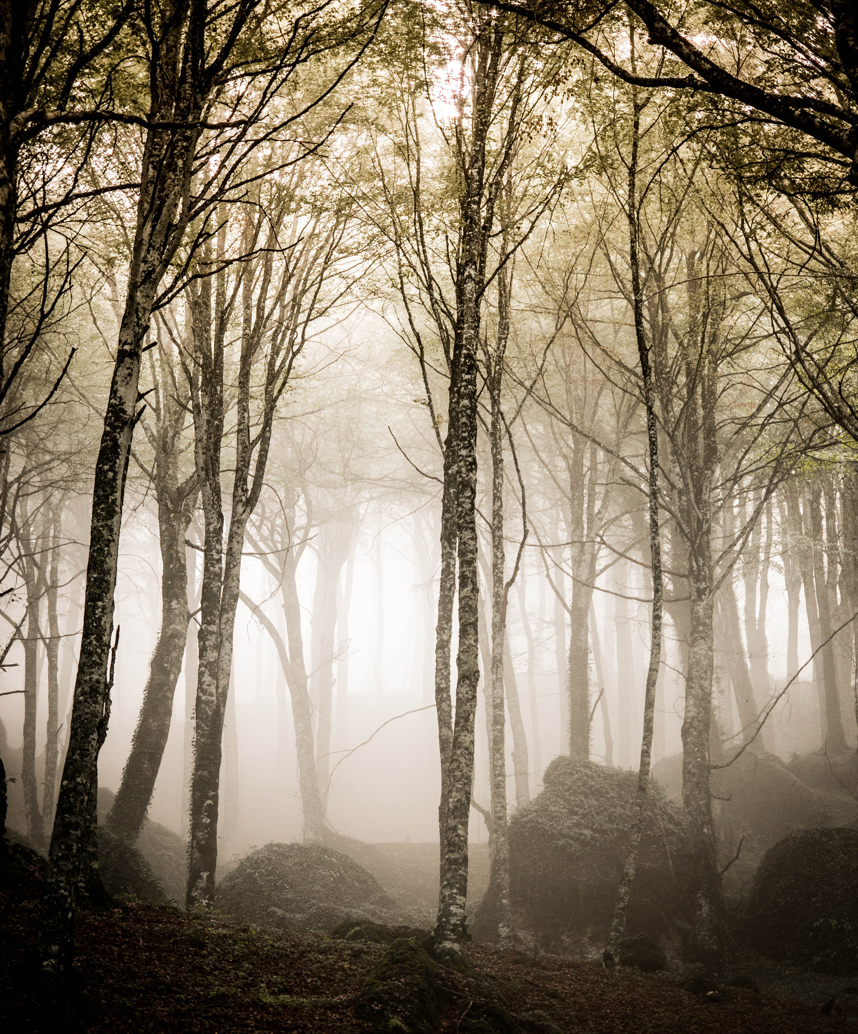 Nikon D3200 sample photo. Ghosts photography