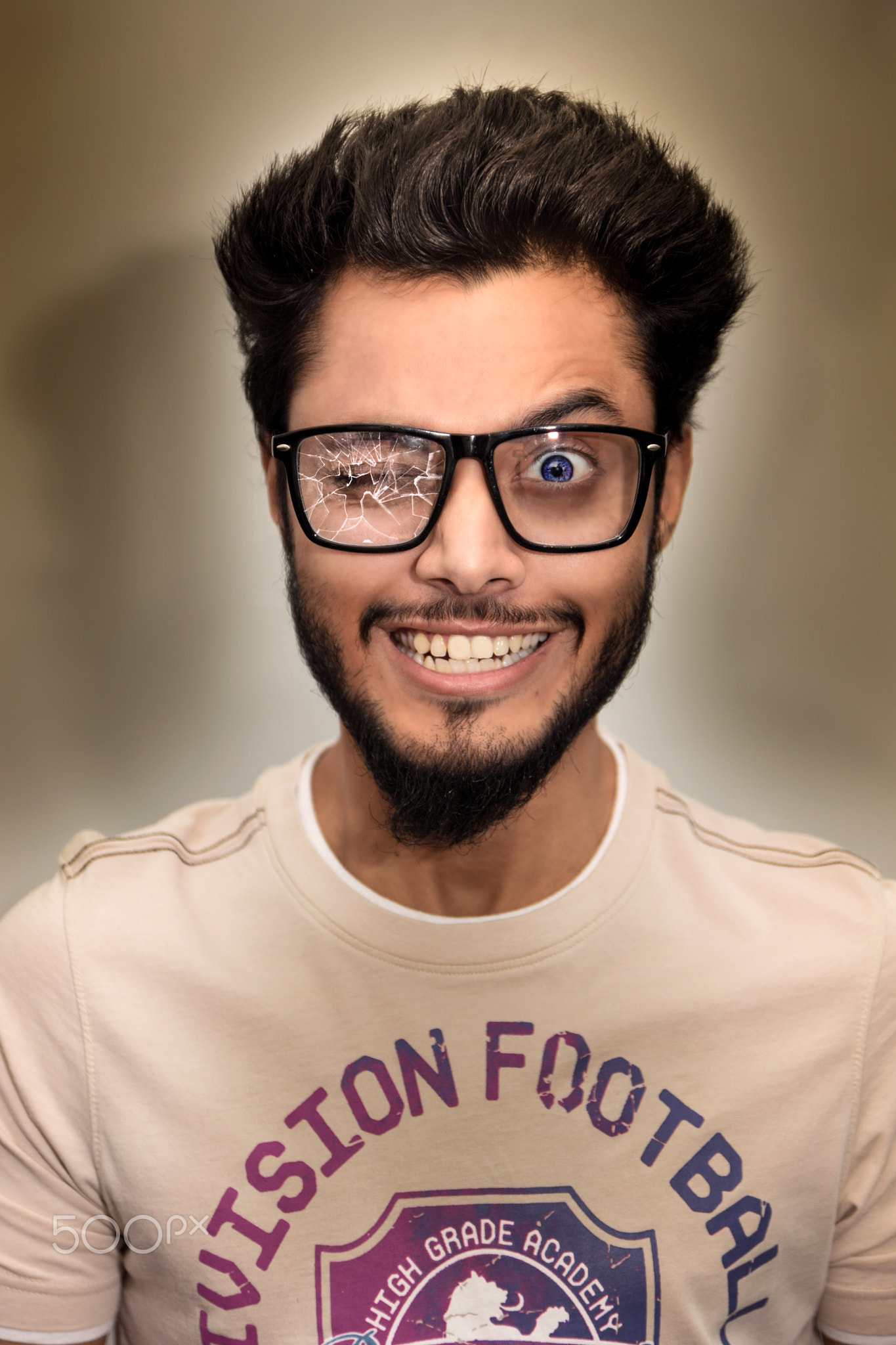 The Crazy Artist