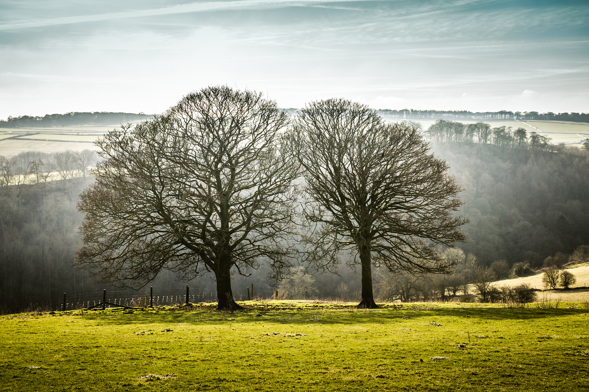 Sony SLT-A33 + Tamron SP AF 17-50mm F2.8 XR Di II LD Aspherical (IF) sample photo. The lungs of nature photography