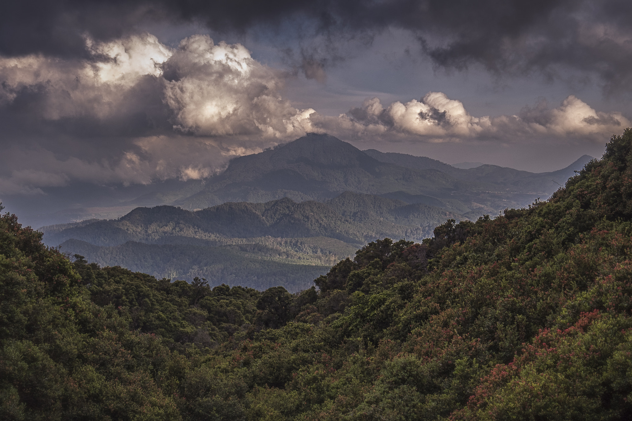Olympus PEN-F sample photo. Vulcano.indonesia photography