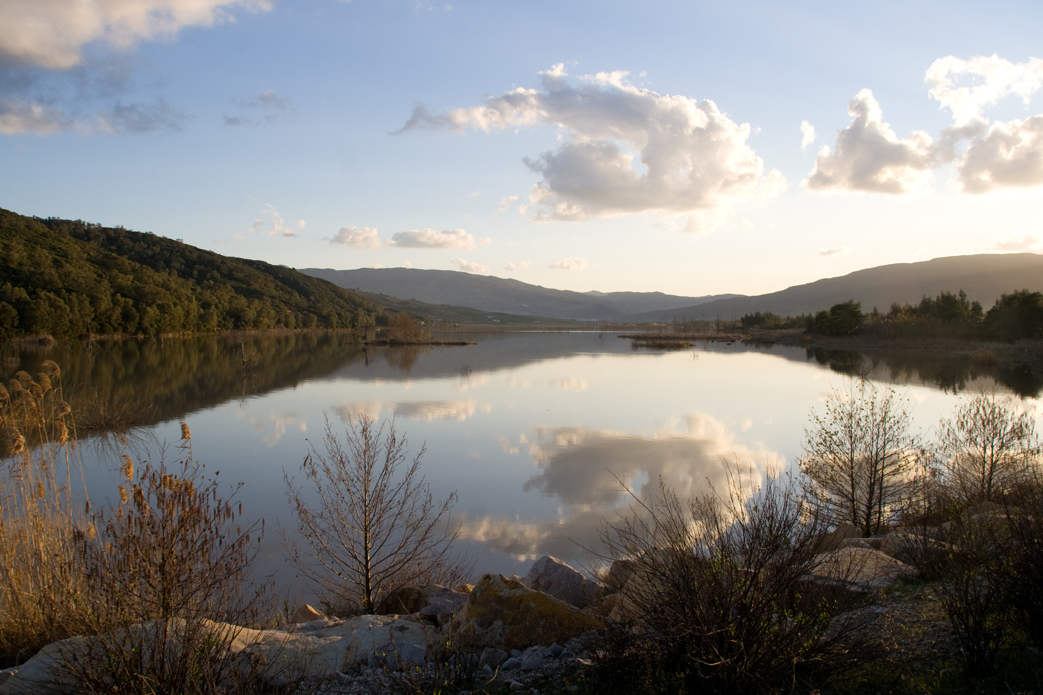 Sigma 18-200mm f/3.5-6.3 DC OS sample photo. Near tabarka photography