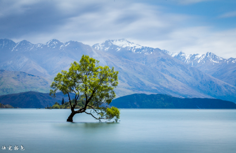 Canon EF 70-300mm F4-5.6 IS USM sample photo. Lone tree photography