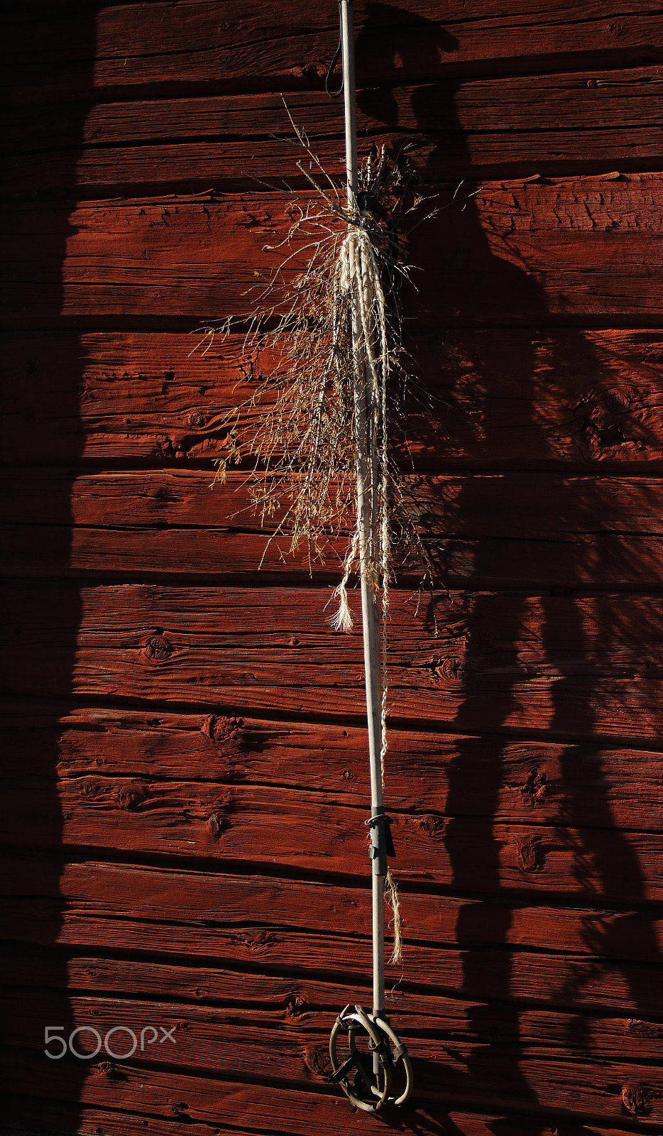 Canon EF-S 18-55mm F3.5-5.6 II sample photo. Repurposed photography