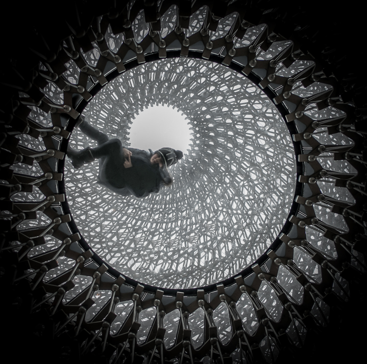 Fujifilm X-E1 + Fujifilm XF 18mm F2 R sample photo. Trying to beehive by julie lawton photography