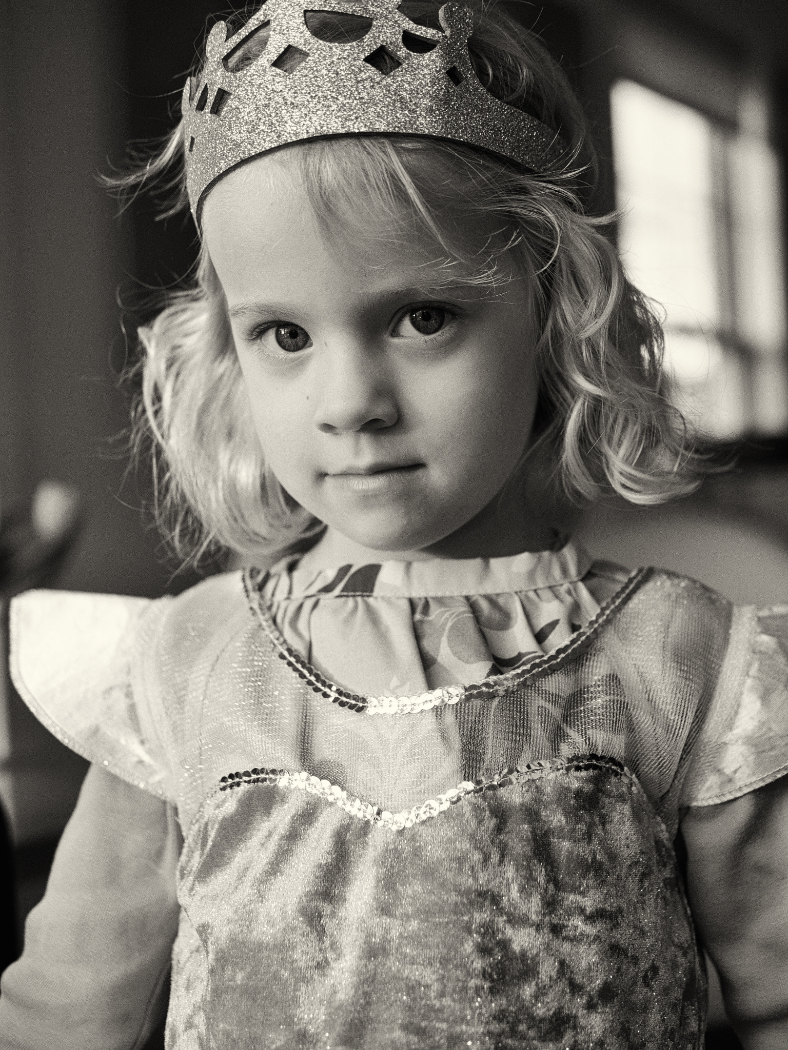 Panasonic Leica DG Summilux 25mm F1.4 II ASPH sample photo. Princess ii photography
