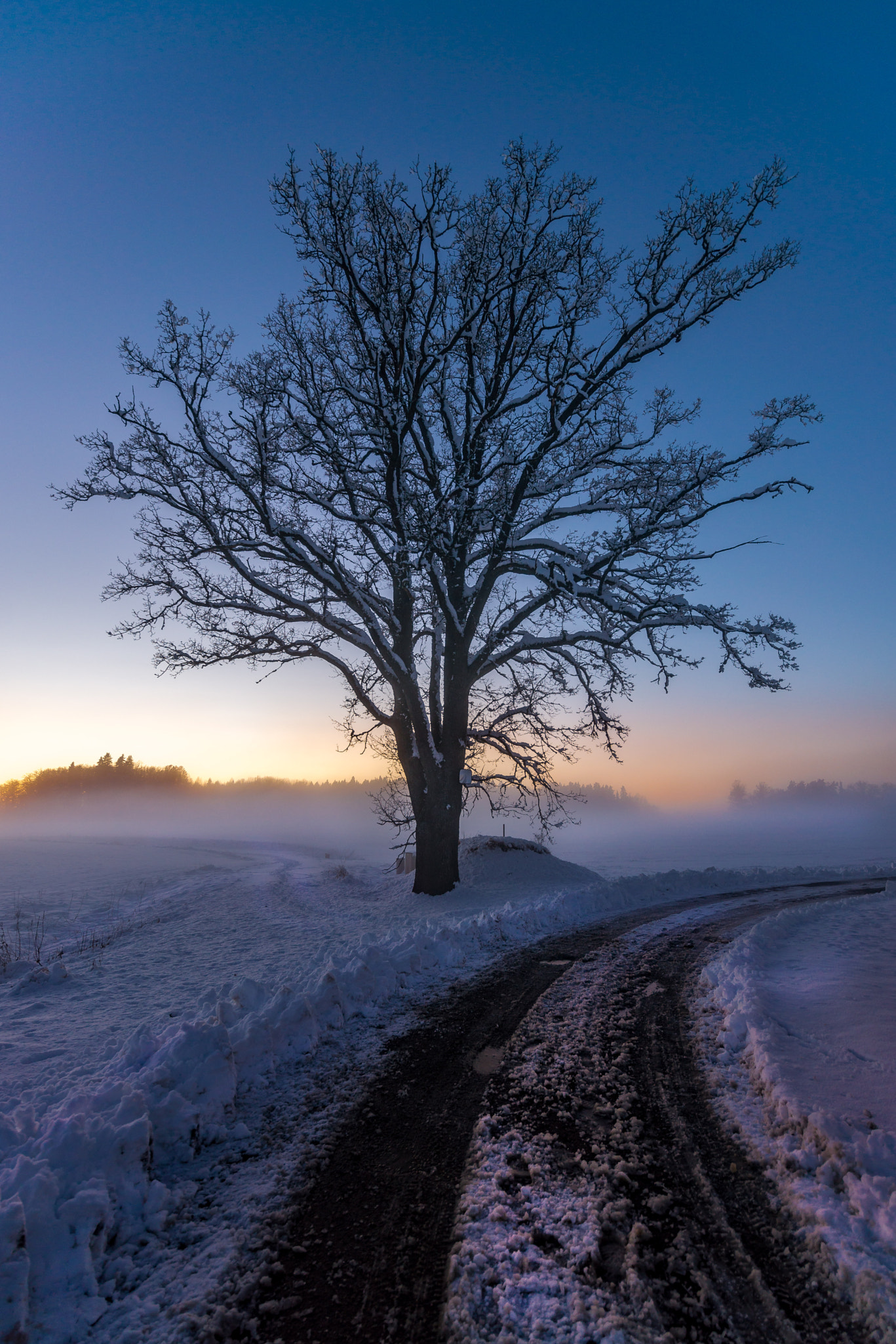 Tamron SP 15-30mm F2.8 Di VC USD sample photo. Winter road photography