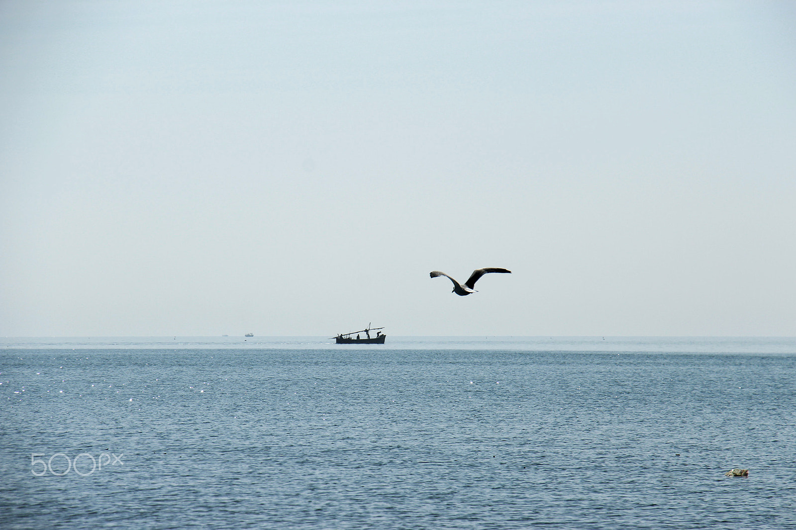 Canon EOS 1200D (EOS Rebel T5 / EOS Kiss X70 / EOS Hi) sample photo. Fly away..!! photography