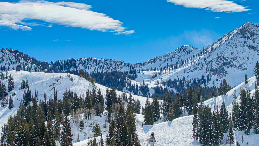 Sony SLT-A77 + Sony 70-400mm F4-5.6 G SSM sample photo. Snowy serenity photography