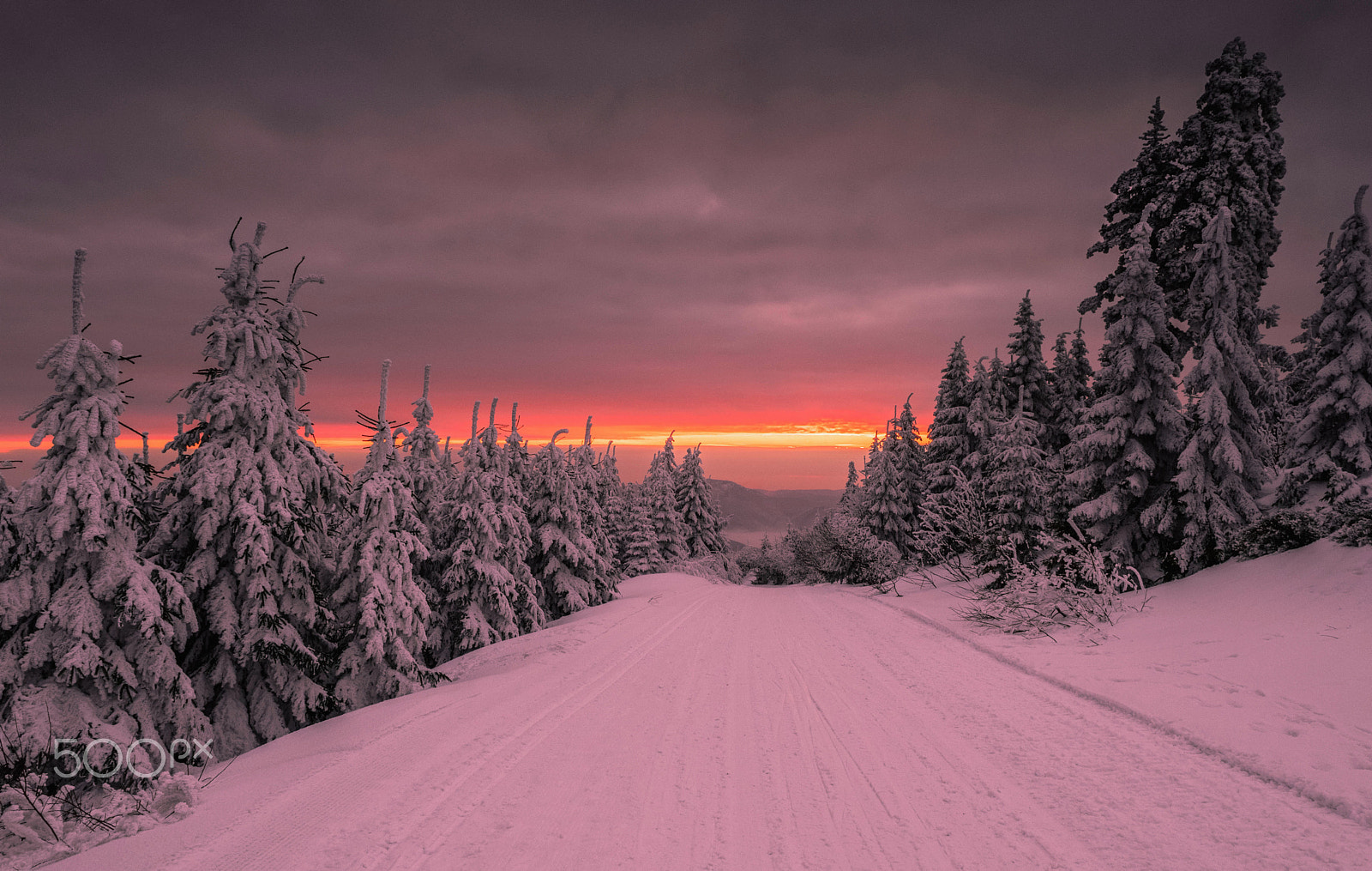 Nikon D5500 sample photo. Alpenglow photography