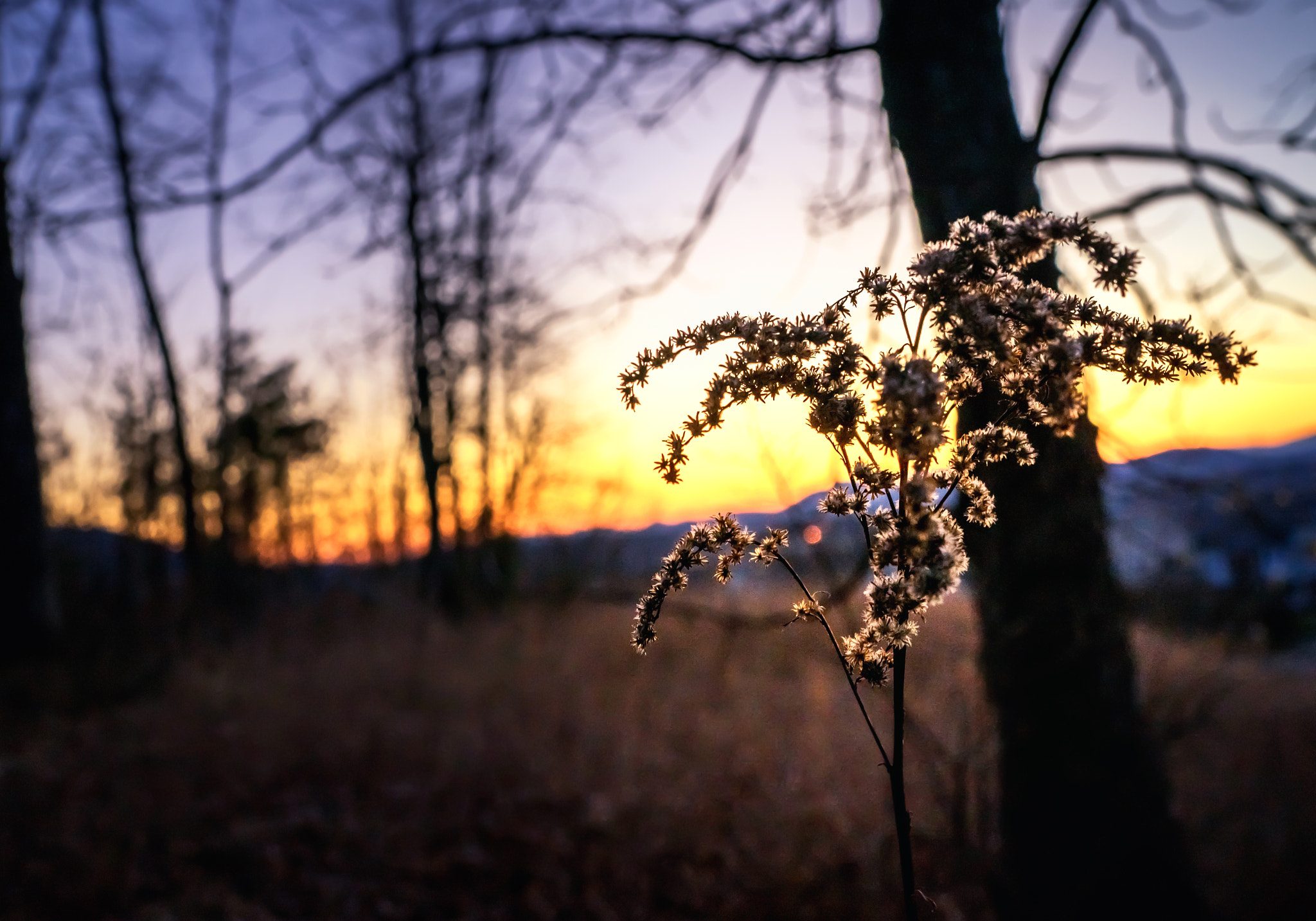 Sony a7 II sample photo. Edge of dark photography