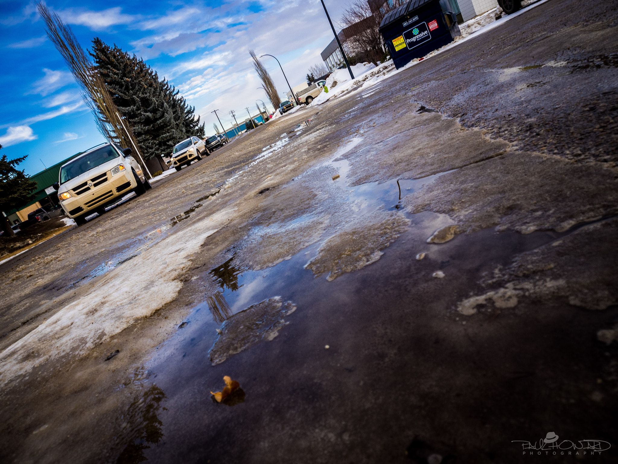 Olympus OM-D E-M1 sample photo. Day 45: sloppy photography