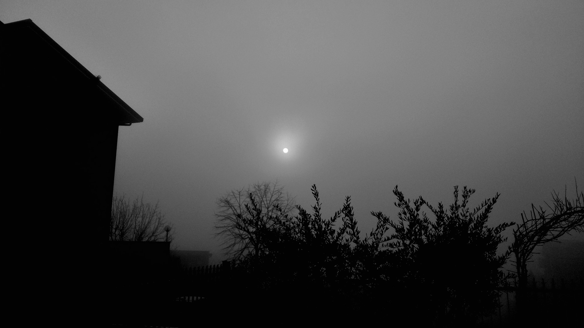 HUAWEI G7-L01 sample photo. Foggy day  photography