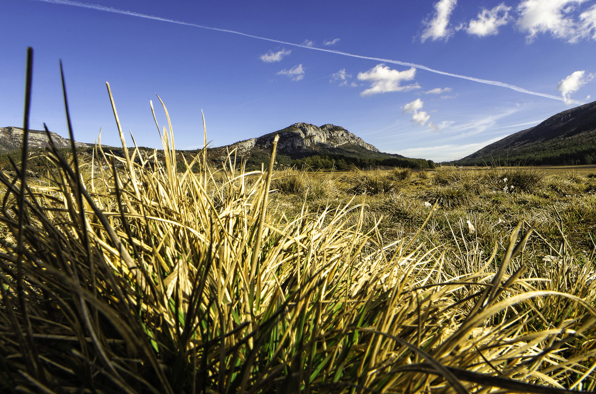 Samyang 14mm F2.8 ED AS IF UMC sample photo. Field photography