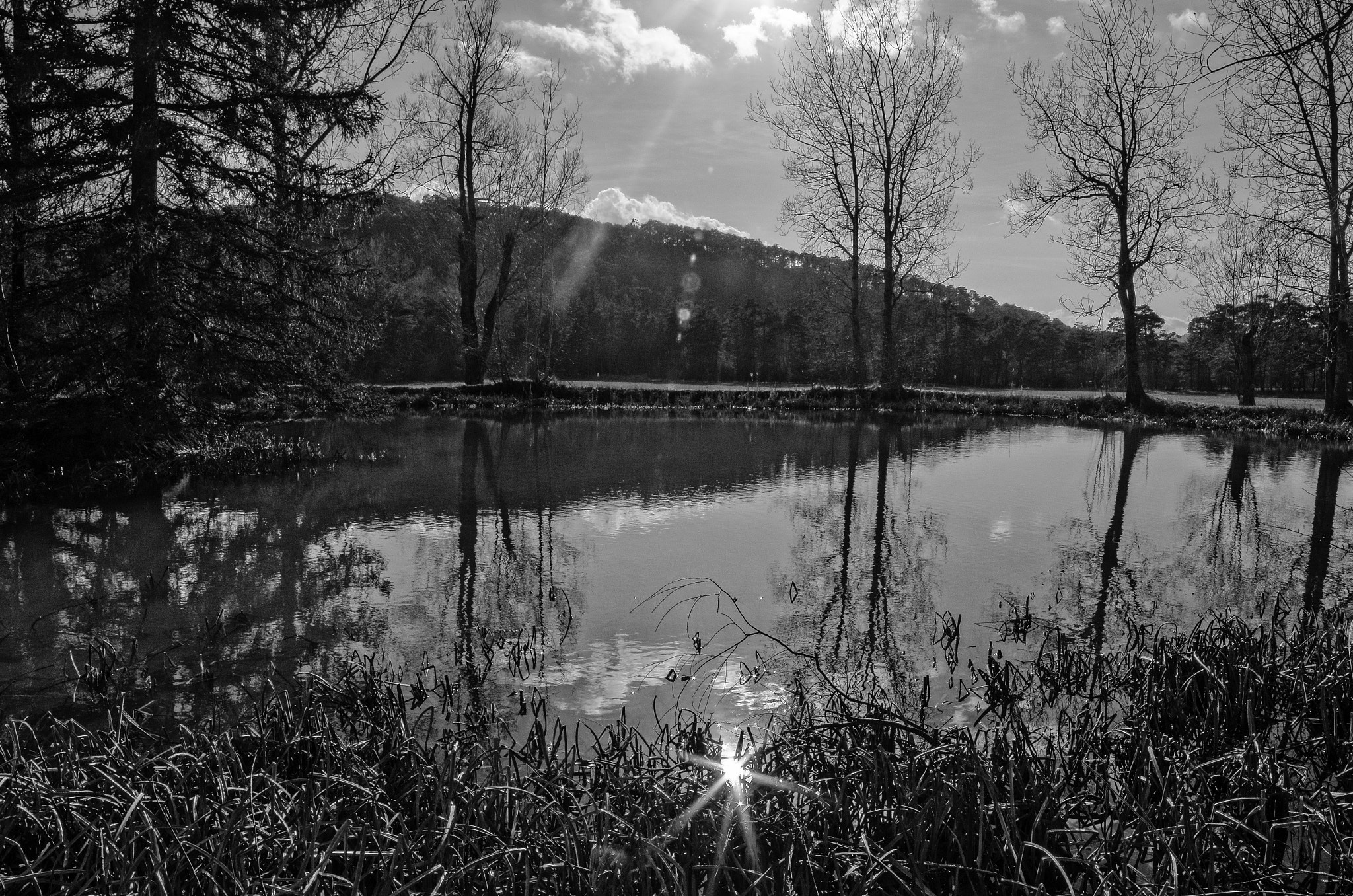 Nikon D5100 sample photo. Lake of malamaire village photography
