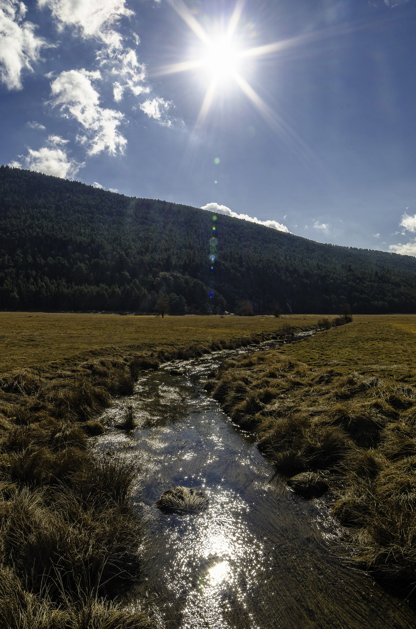Samyang 14mm F2.8 ED AS IF UMC sample photo. River in the field photography