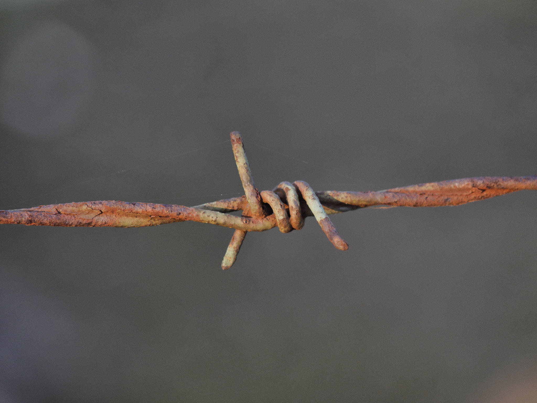 Panasonic Lumix DMC-GH3 sample photo. Rusty wire photography