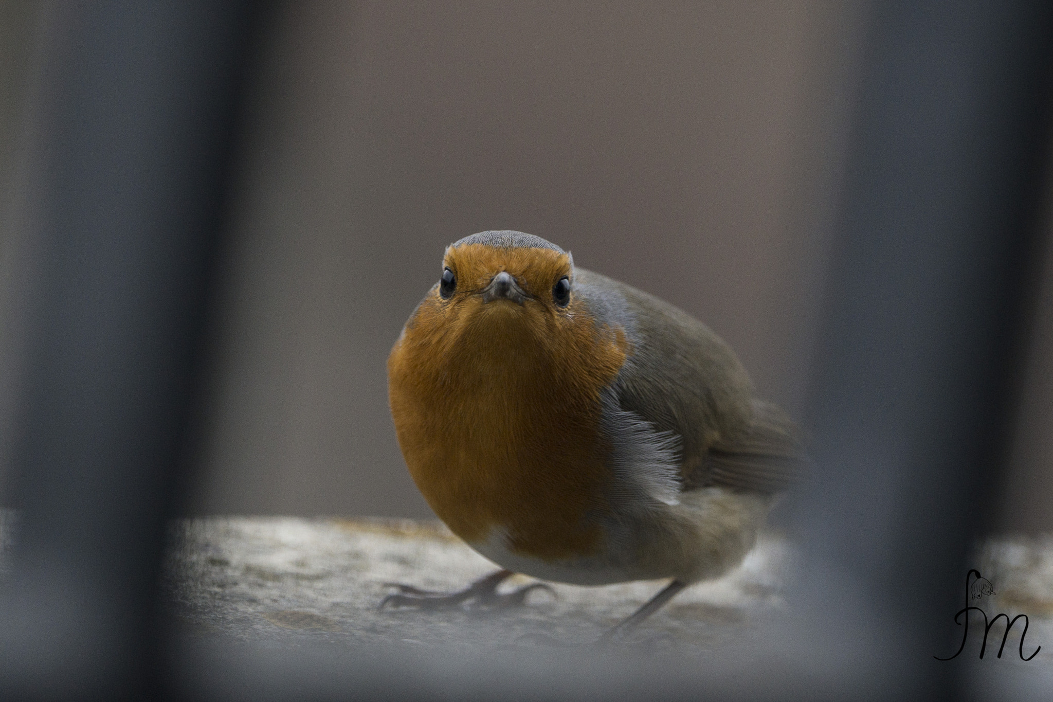 Sony 70-400mm F4-5.6 G SSM II sample photo. It's you photography