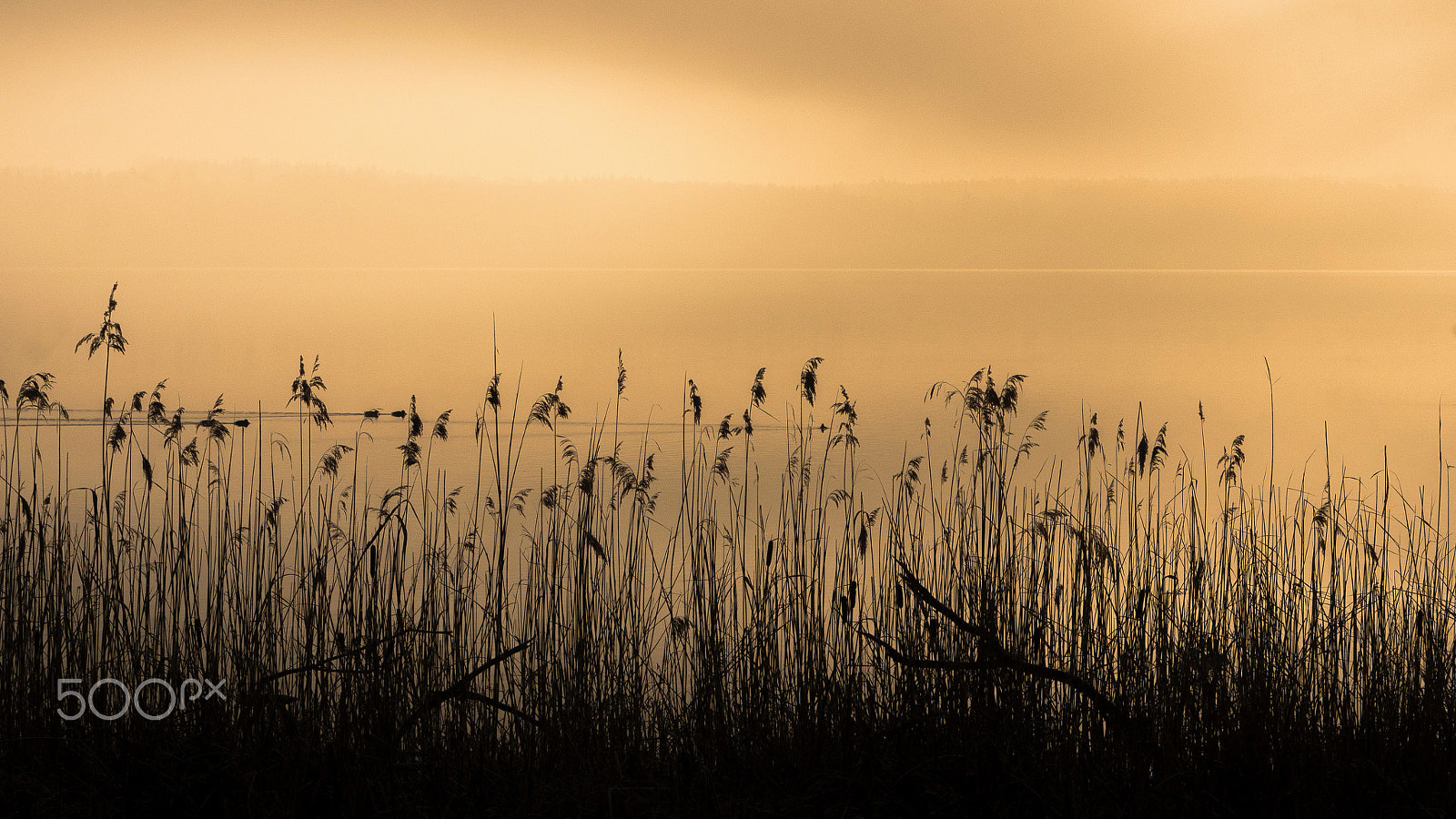 Sony Alpha NEX-7 sample photo. Sunrise photography