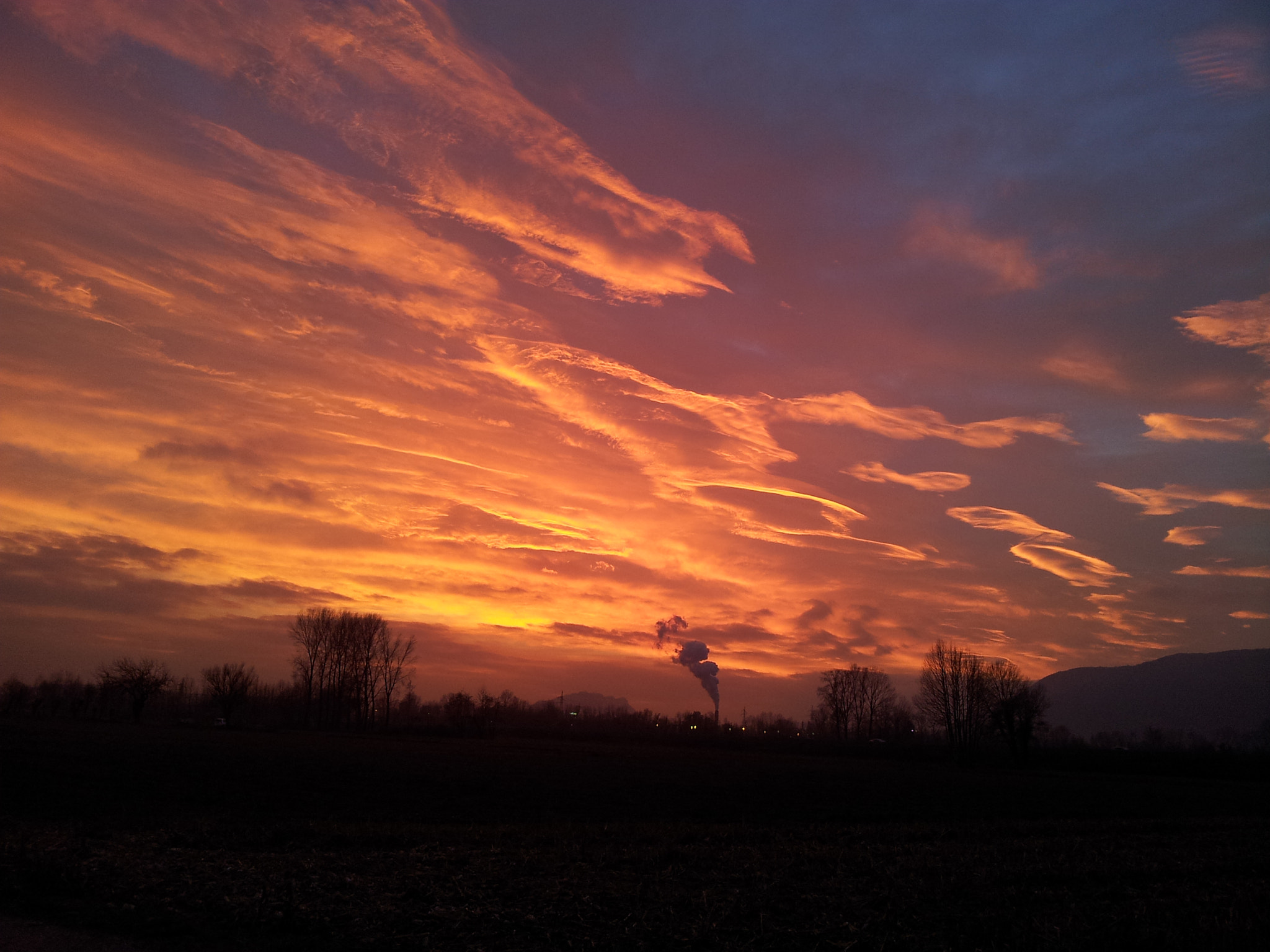 Samsung Galaxy Note sample photo. Buja dicembre photography