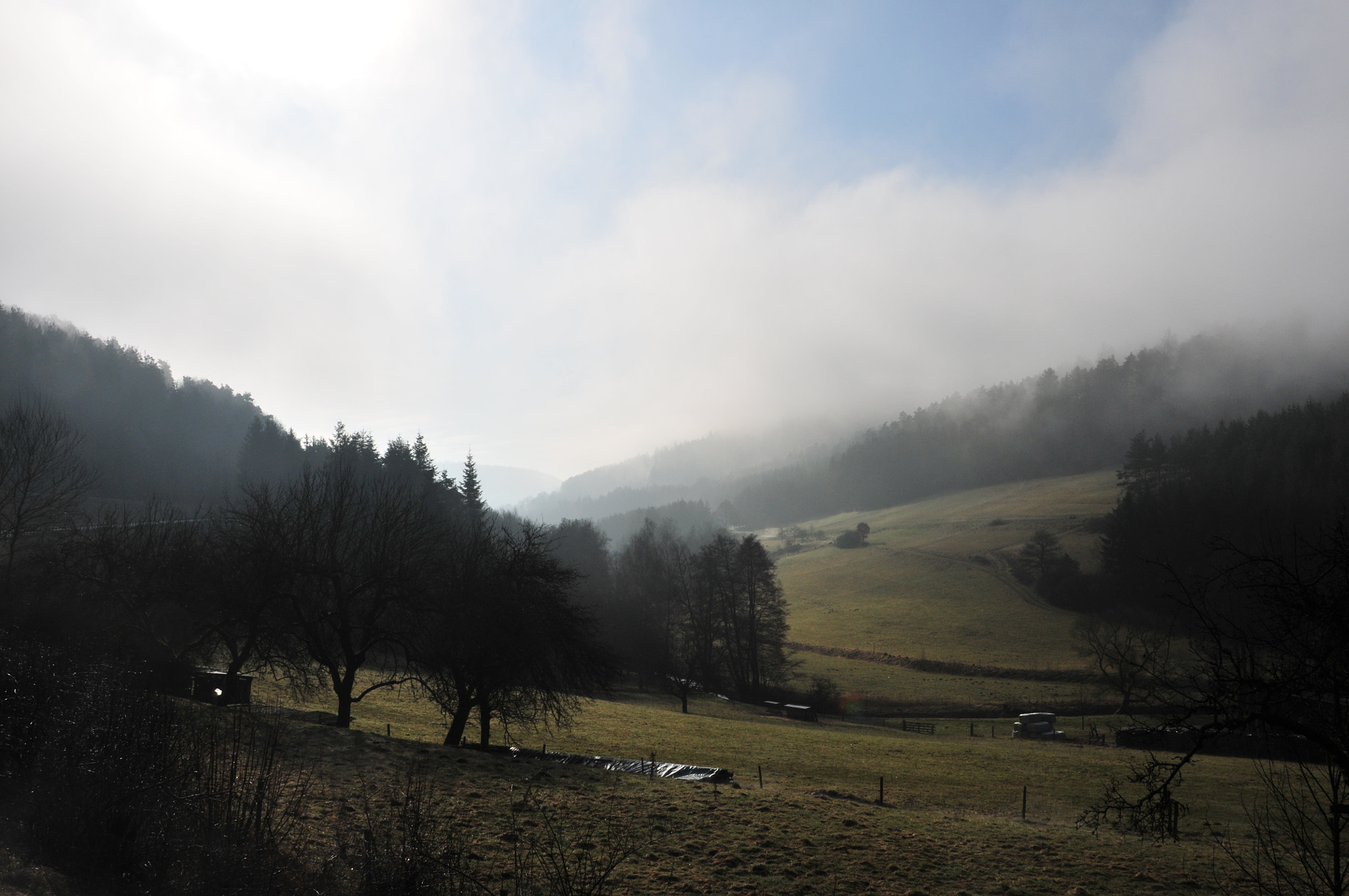 Nikon D300S sample photo. The valley in mist photography