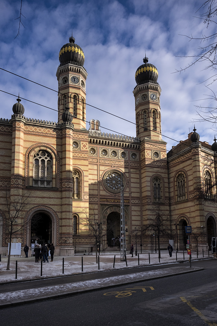 Fujifilm X-T1 + Fujifilm XF 16mm F1.4 R WR sample photo. Dohány street synagogue photography
