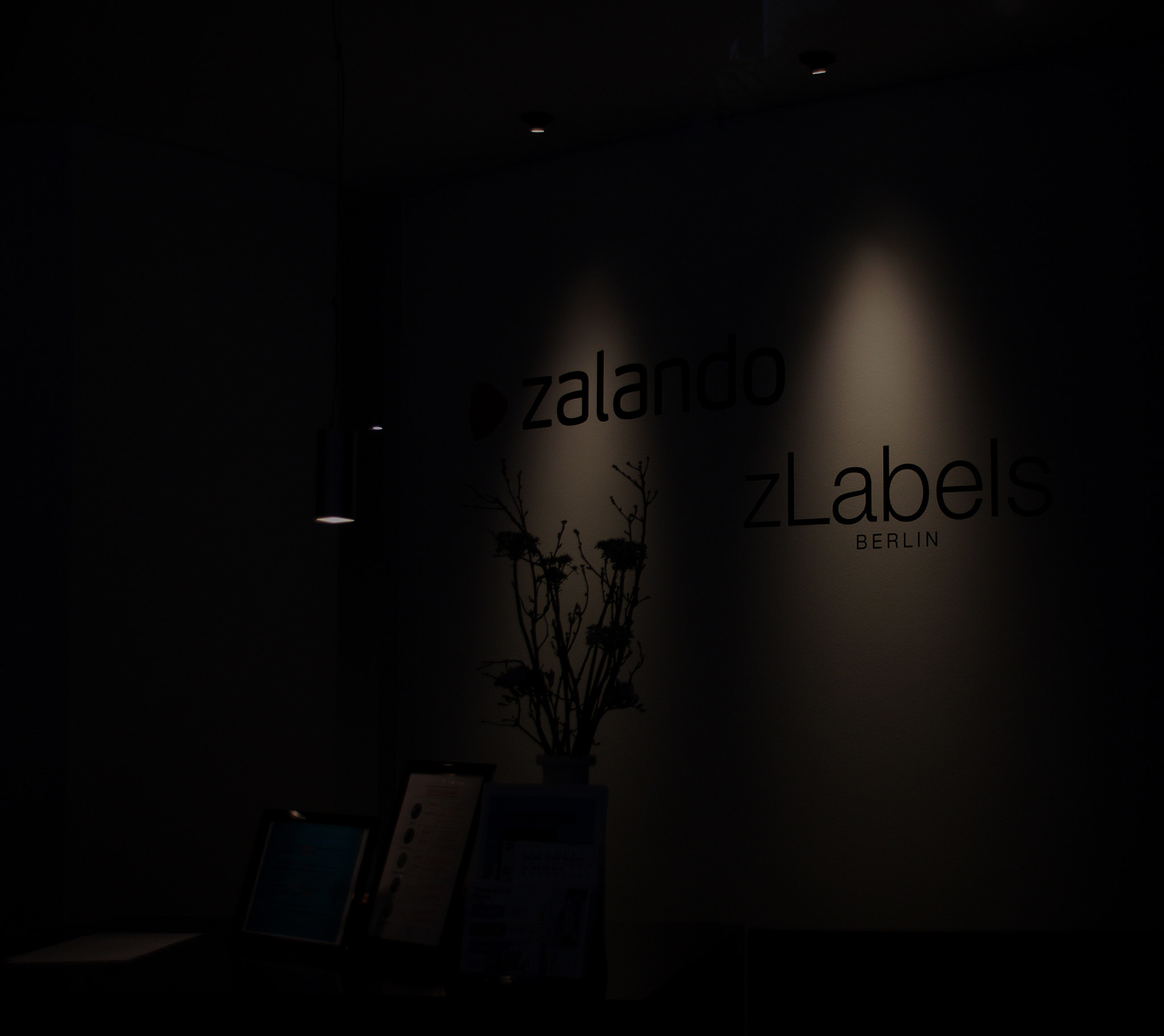 Sigma 18-250mm F3.5-6.3 DC OS HSM sample photo. Zalando! (show room and office berlin branch) photography