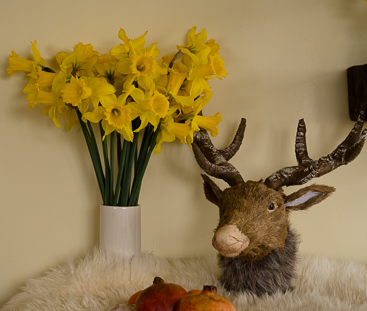 Nikon D7000 sample photo. Still life emerges from sheep skin photography