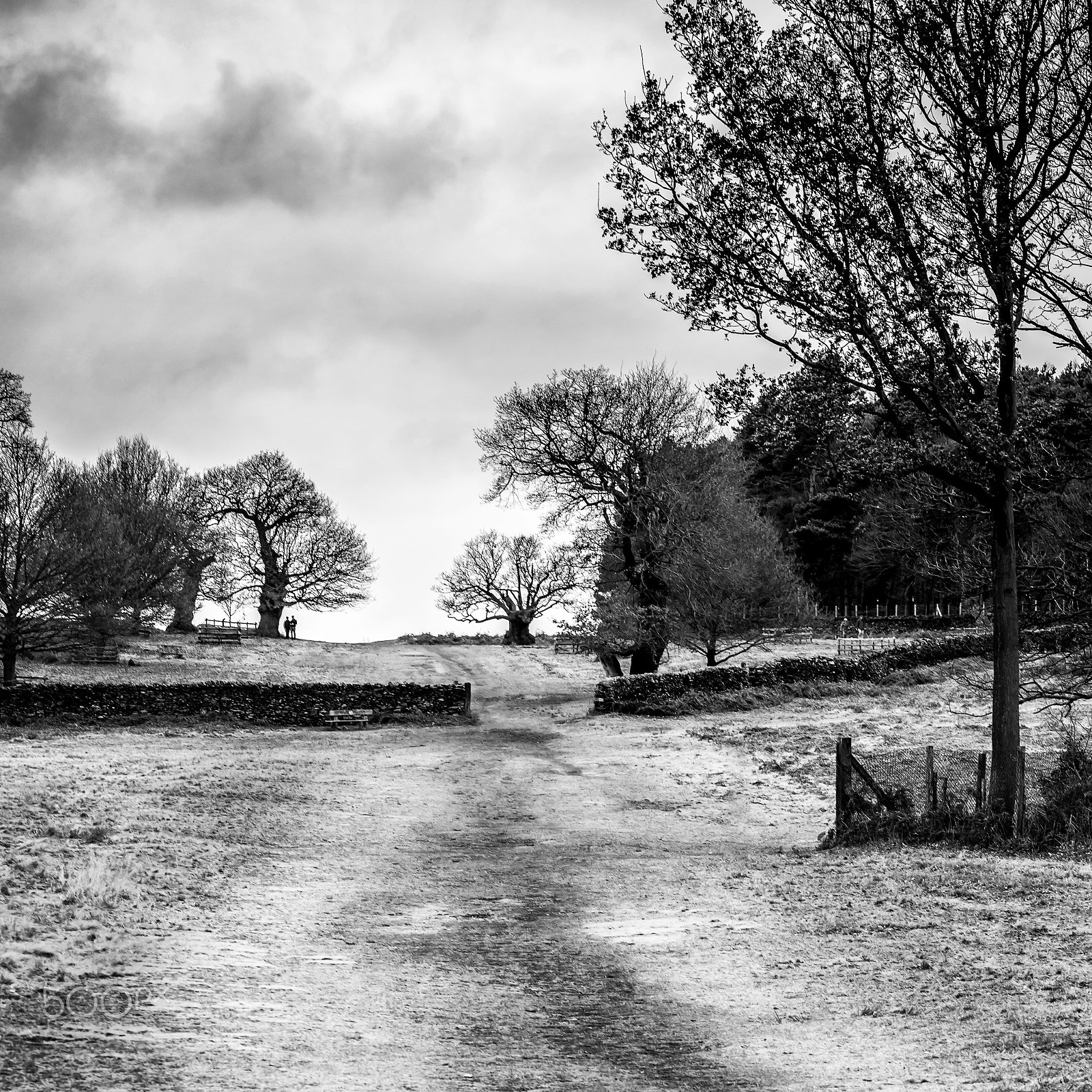 Sigma 105mm F2.8 EX DG OS HSM sample photo. Well trodden path photography
