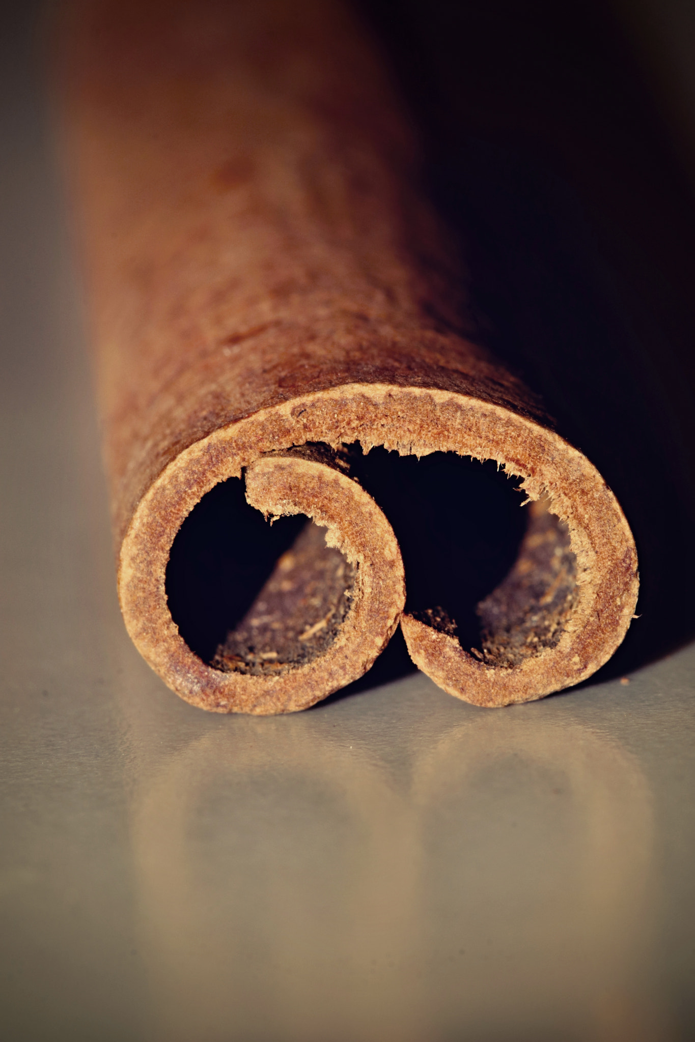 Canon EF 100mm F2.8 Macro USM sample photo. Cinnamon photography