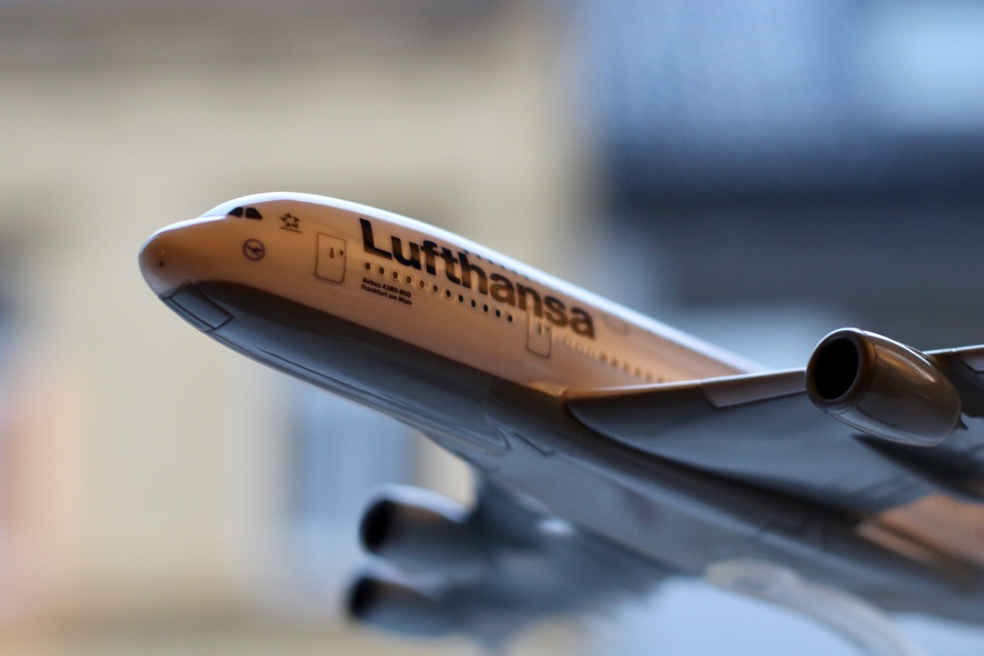 Canon EOS 760D (EOS Rebel T6s / EOS 8000D) + Canon EF 50mm F1.4 USM sample photo. Lufthansa airmodel photography