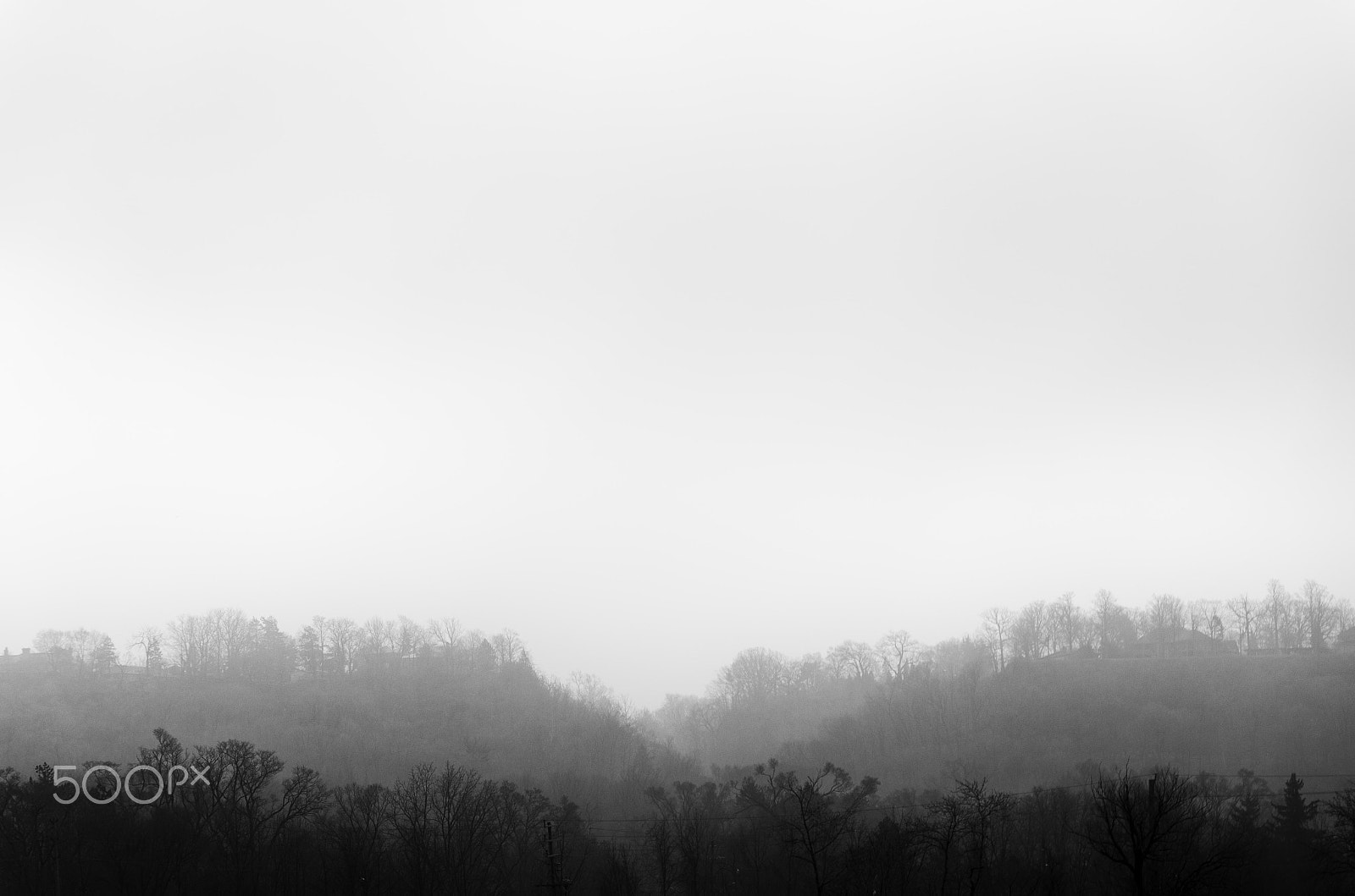 Nikon D7000 sample photo. Breaking fog photography