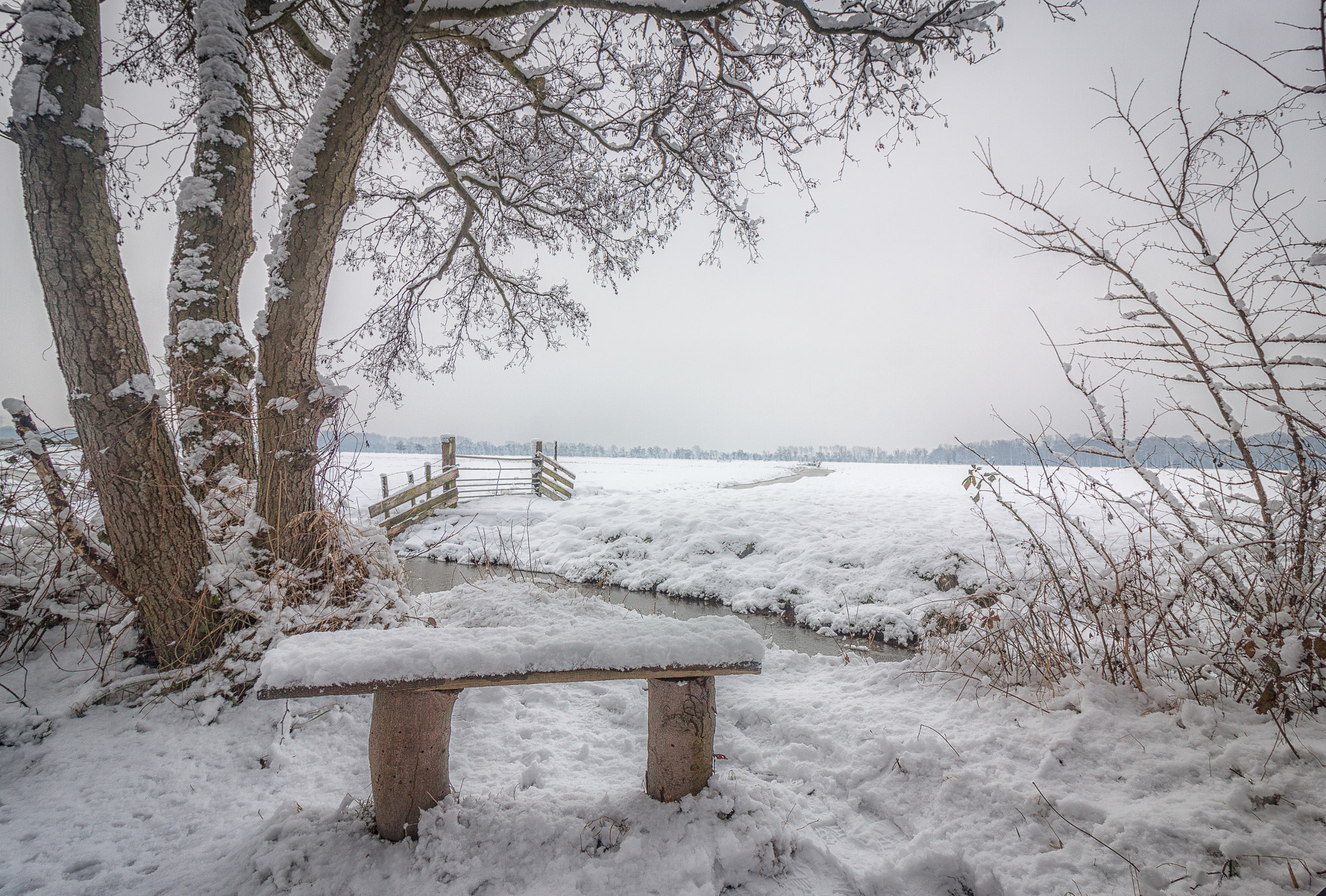Canon EOS 50D sample photo. Holland winterscape photography