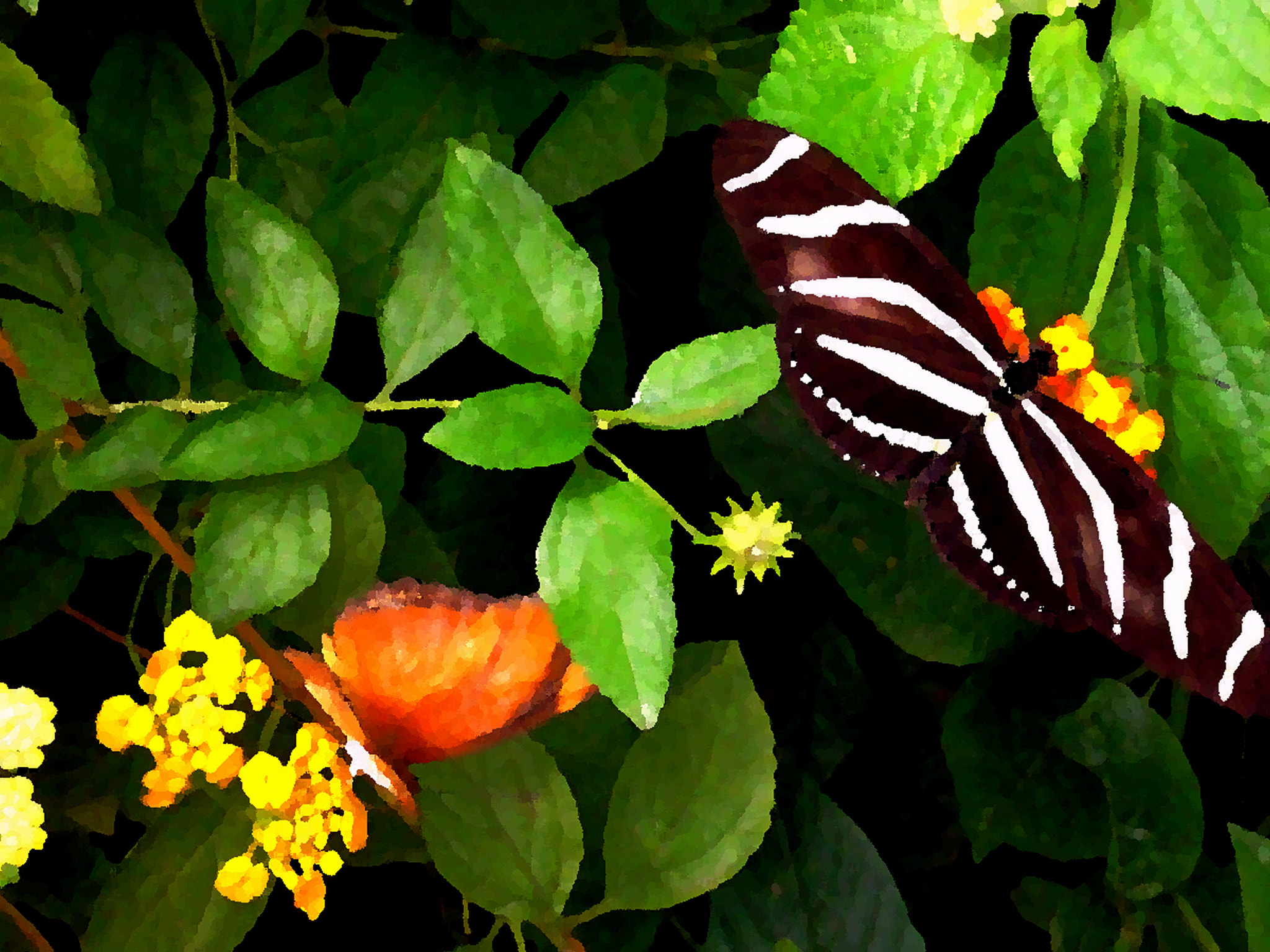 CASIO EX-Z75 sample photo. Butterflies photography