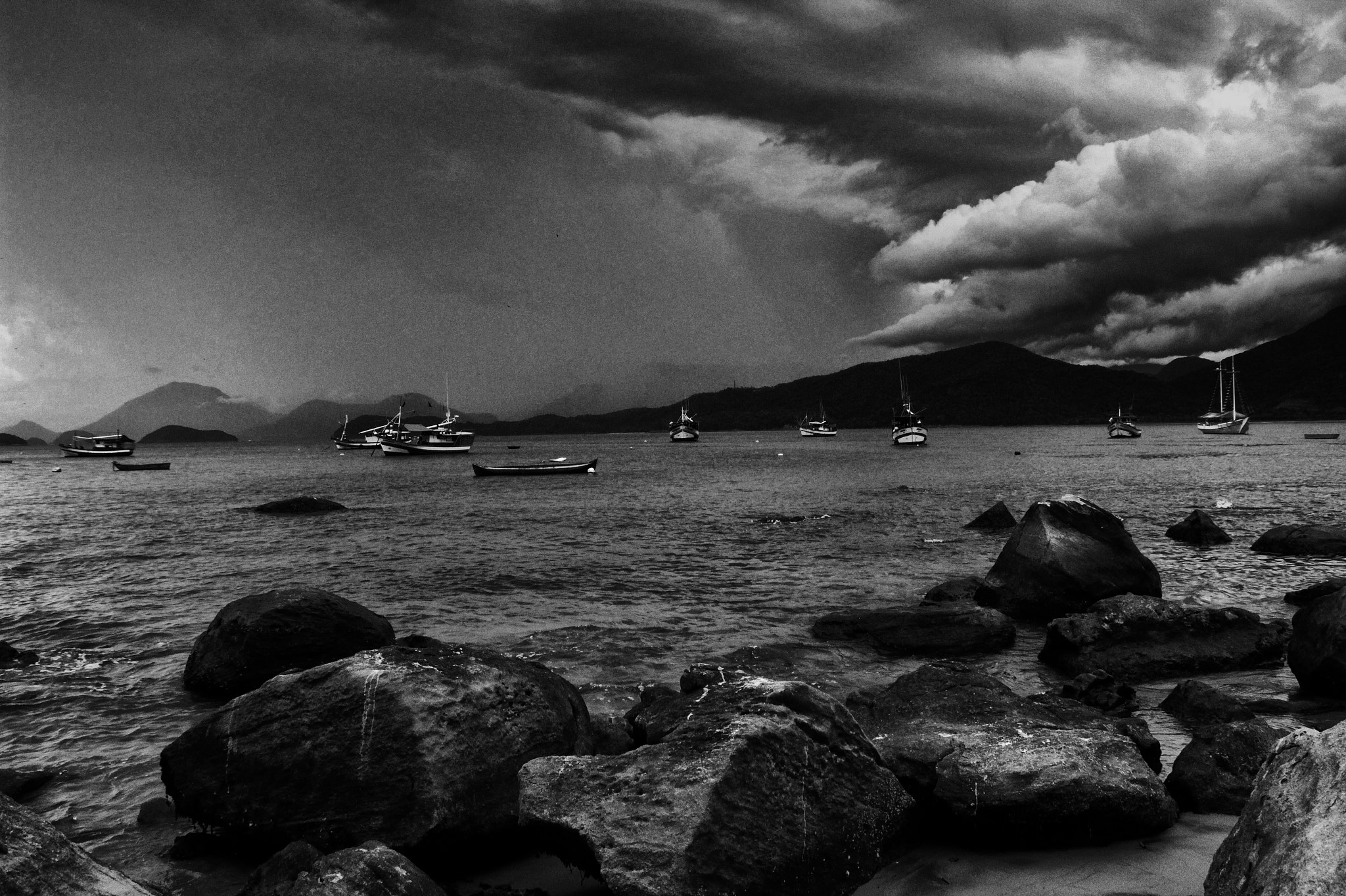 Sigma 18-250mm F3.5-6.3 DC OS HSM sample photo. Raining day...  photography