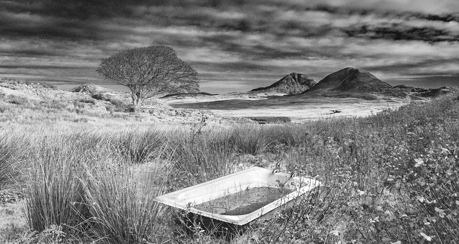 EF28-70mm f/2.8L USM sample photo. Paps and taps infra red photography