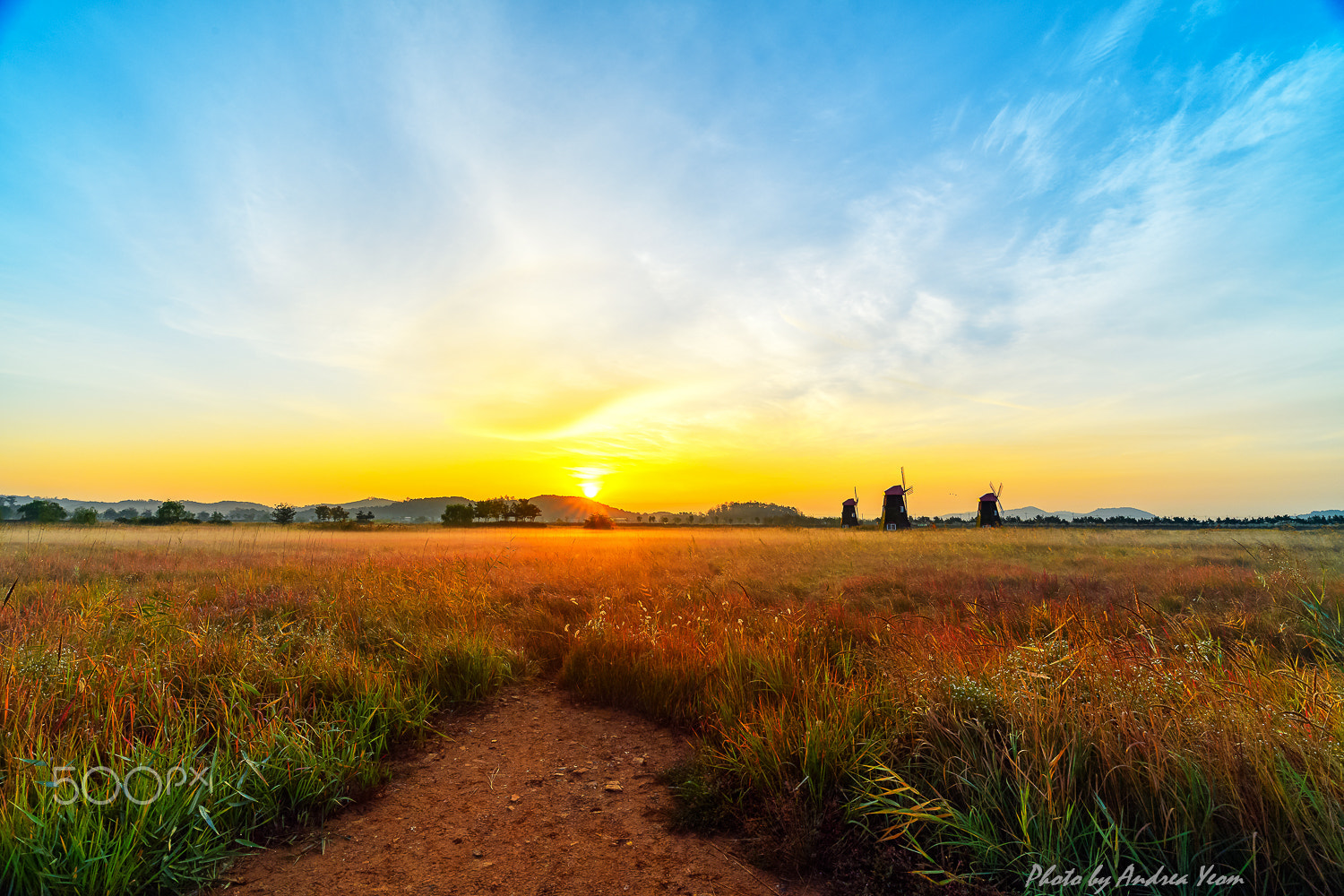 Nikon D5 sample photo. Sunrise photography